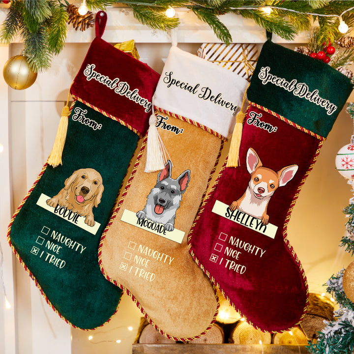 Special Delivery From Dog - Personalized Dogs Christmas Stocking