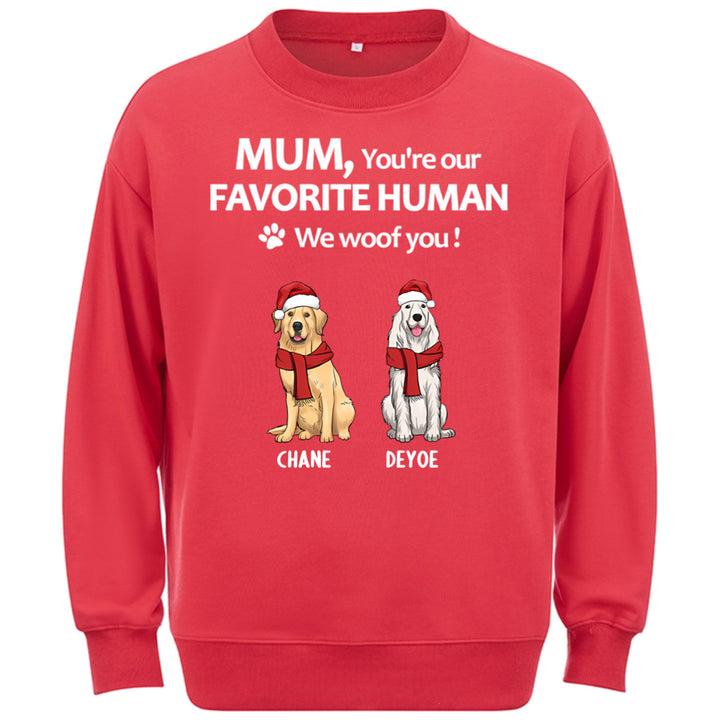 To My Favorite Human -  Personalized Custom Christmas Sweatshirt