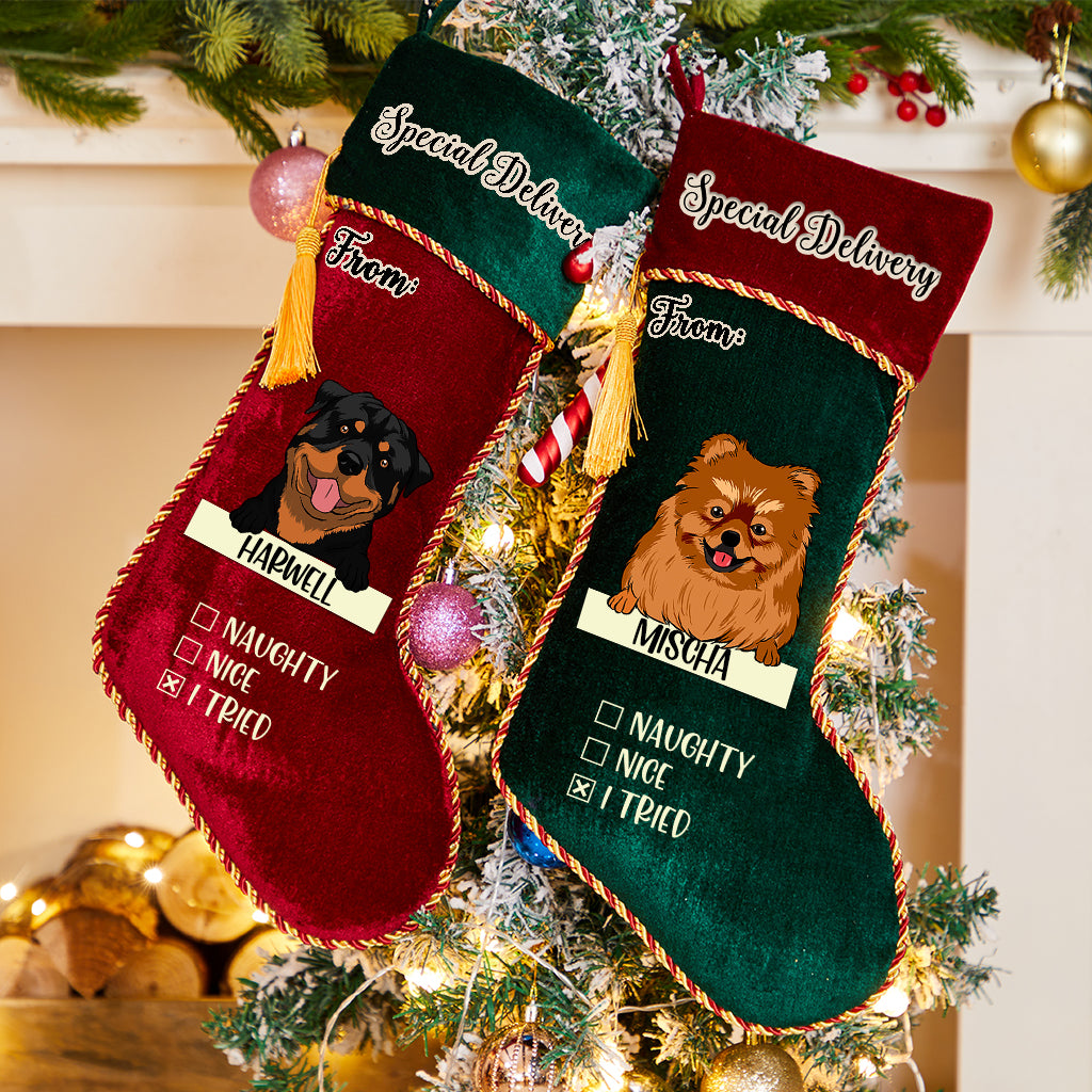 Special Delivery From Dog - Personalized Dogs Christmas Stocking