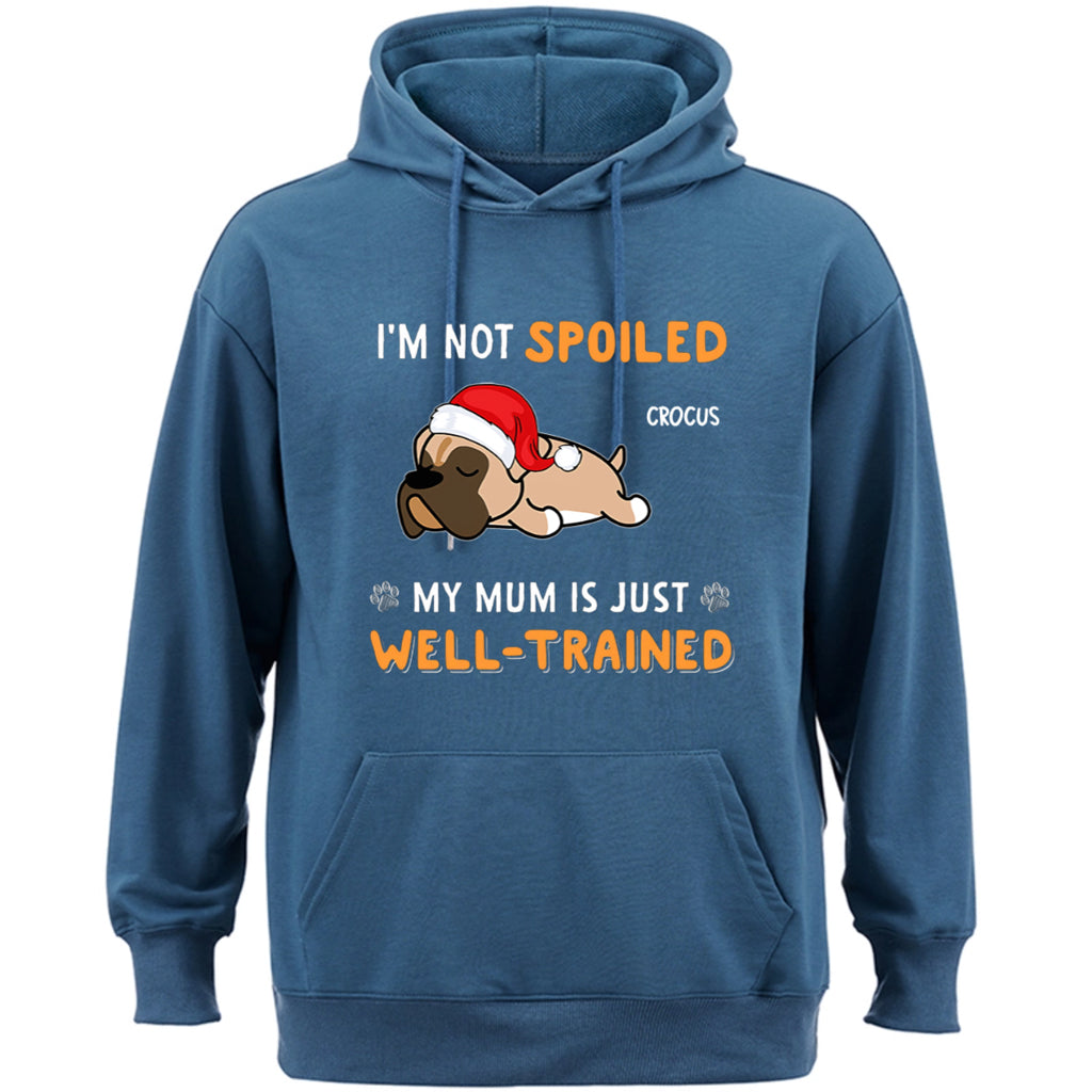 We Are Not Spoiled Our Dad Is Just Well-Trained - Personalized Custom Christmas Hoodie