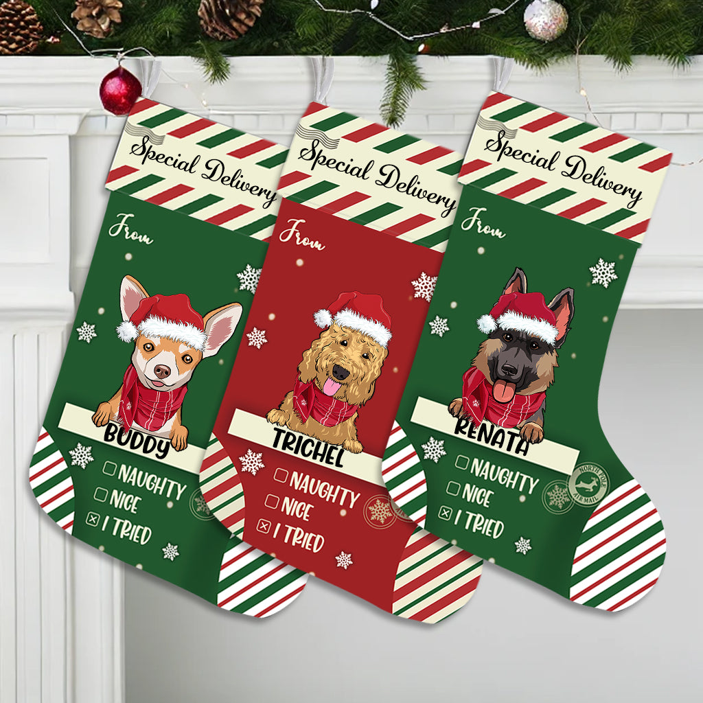 Special Delivery To Santa - Personalized Christmas Stocking Dogs