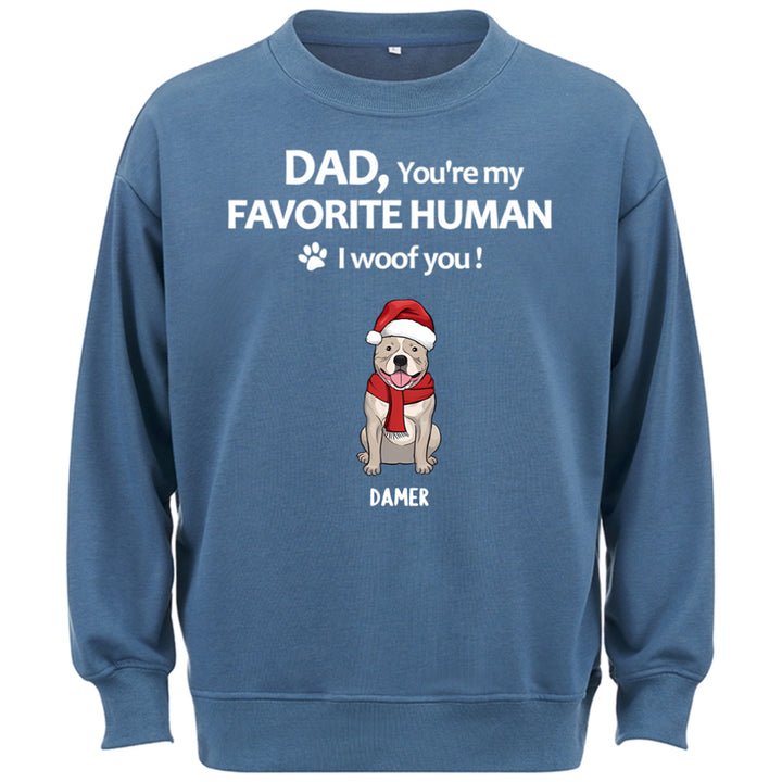 To My Favorite Human -  Personalized Custom Christmas Sweatshirt