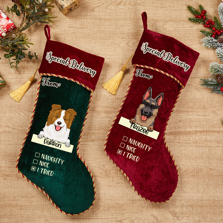 Special Delivery From Dog - Personalized Dogs Christmas Stocking