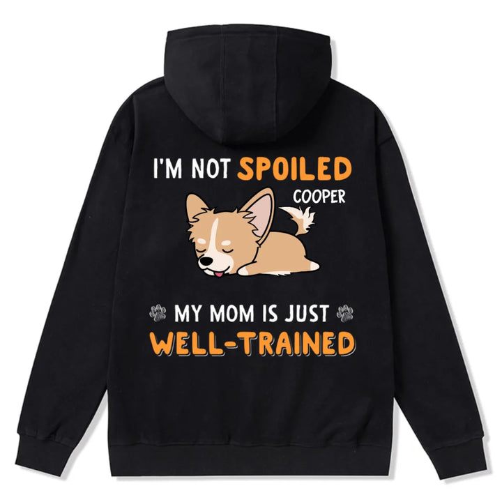 We Are Not Spoiled Our Dad Is Just Well-Trained - Personalized Custom Zipper Hoodie