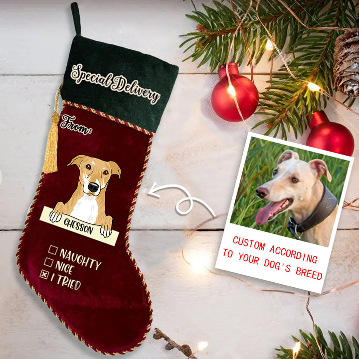 Special Delivery From Dog - Personalized Dogs Christmas Stocking