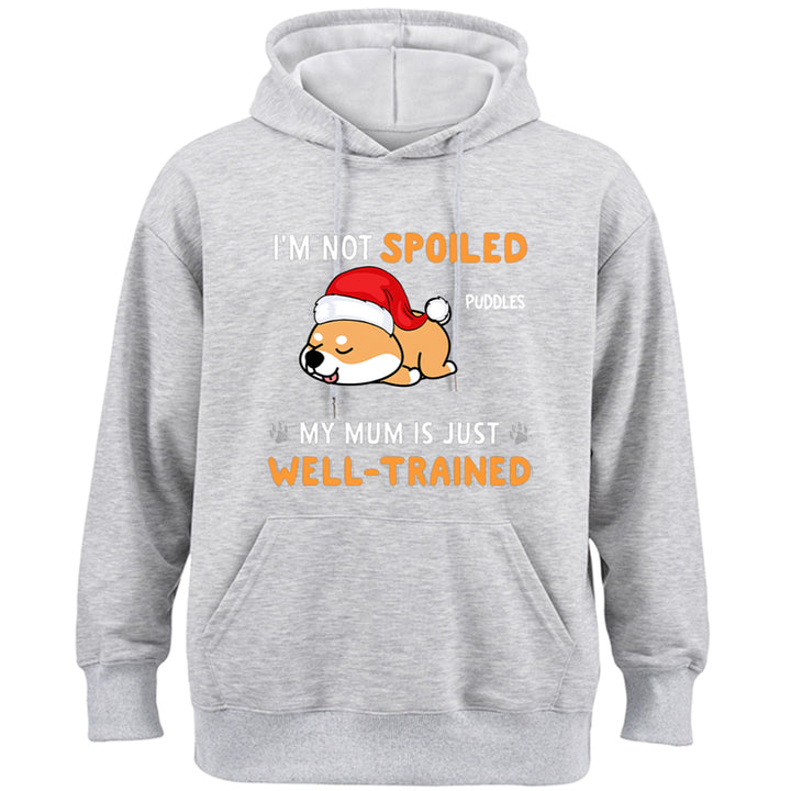 We Are Not Spoiled Our Dad Is Just Well-Trained - Personalized Custom Christmas Hoodie