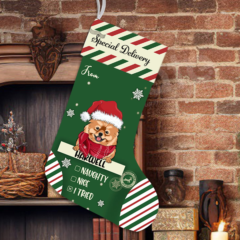 Special Delivery To Santa - Personalized Christmas Stocking Dogs