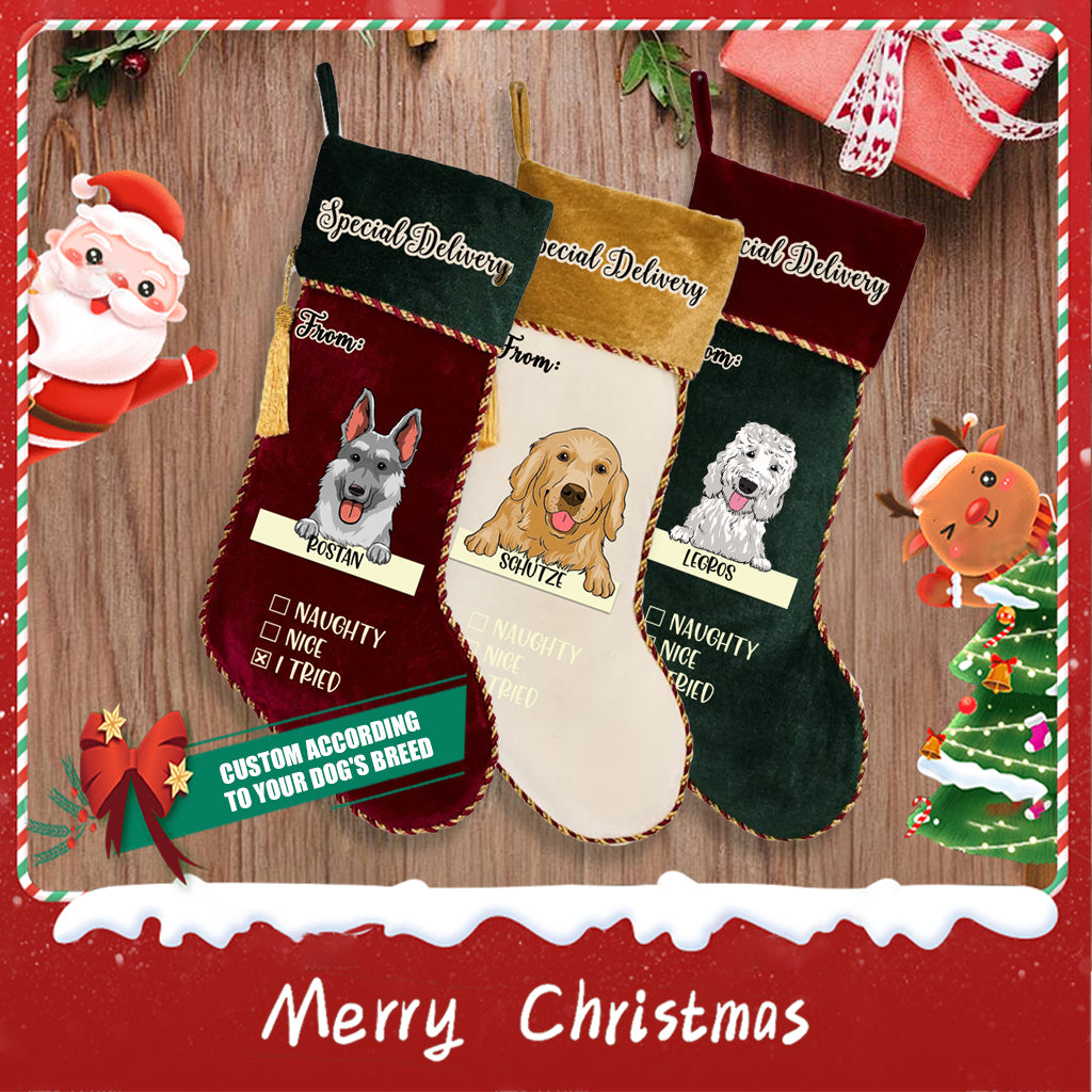 Special Delivery From Dog - Personalized Dogs Christmas Stocking