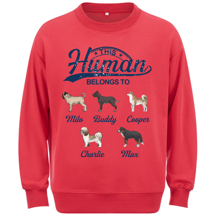 This Human Belongs To 2 - Personalized Custom Sweatshirt