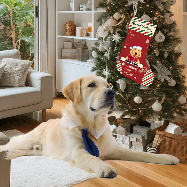 Special Delivery To Santa - Personalized Christmas Stocking Dogs