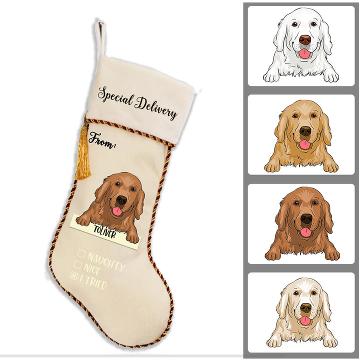 Special Delivery From Dog - Personalized Dogs Christmas Stocking