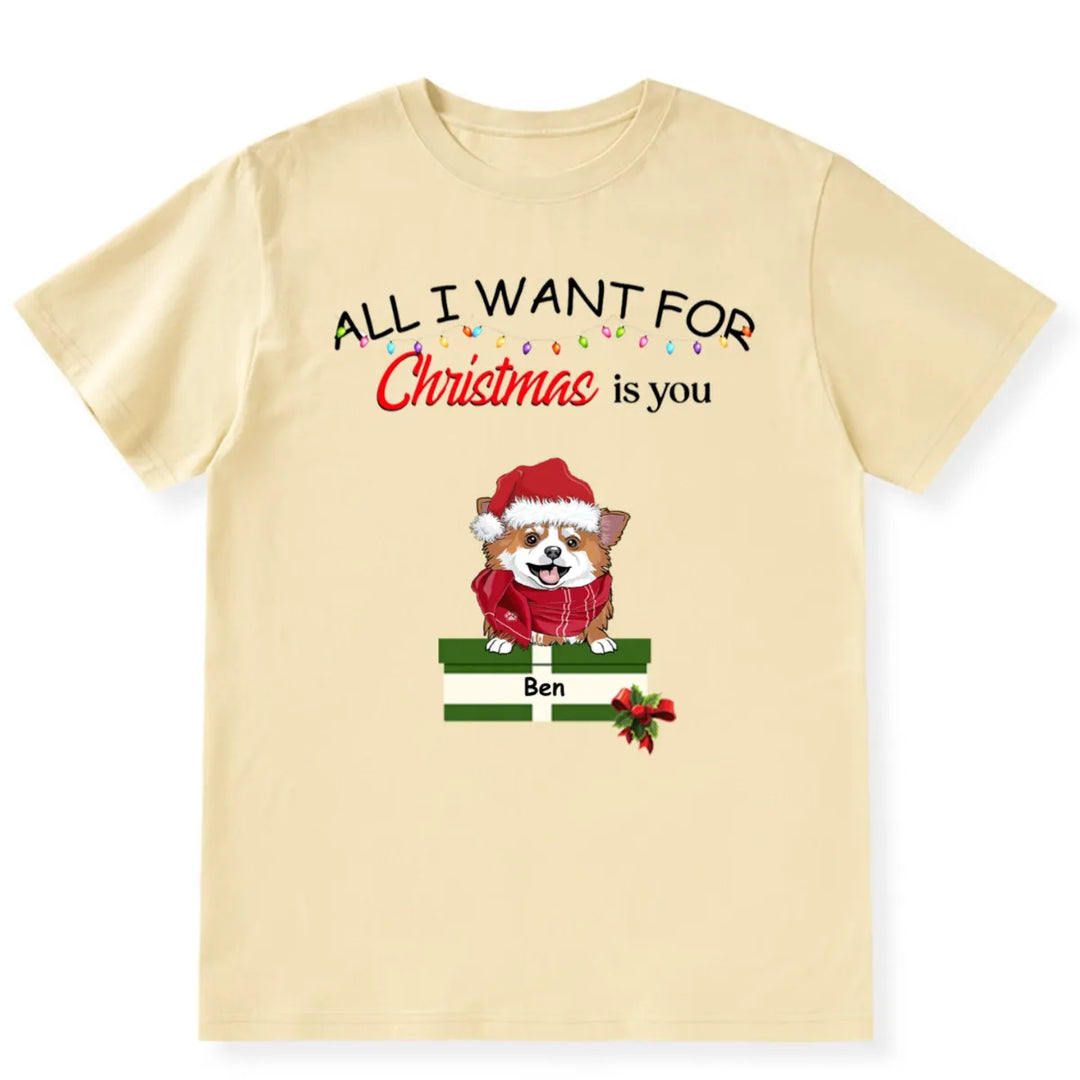 All I Want for Christmas Is You - Personalized Custom T-shirt