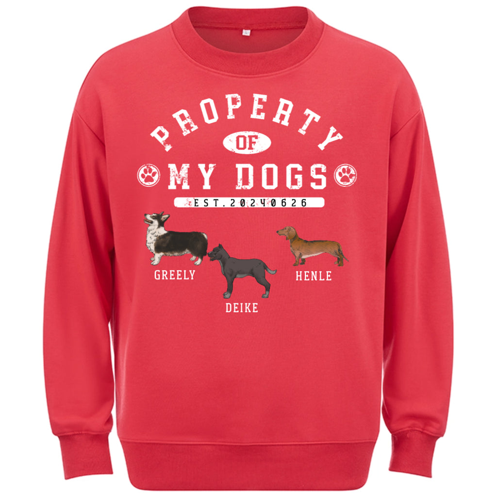 Dog Property - Personalized Custom Sweatshirt