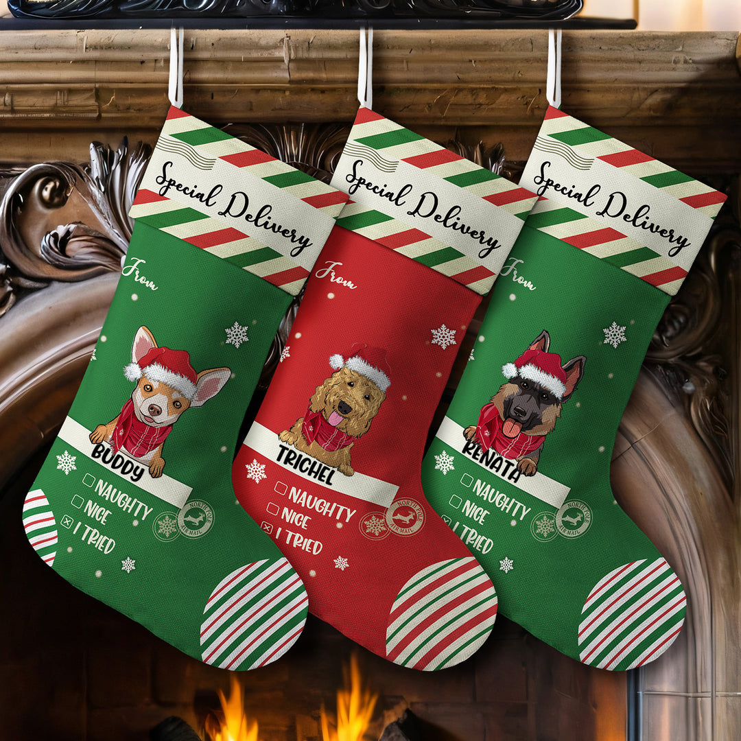 Special Delivery To Santa - Personalized Christmas Stocking Dogs