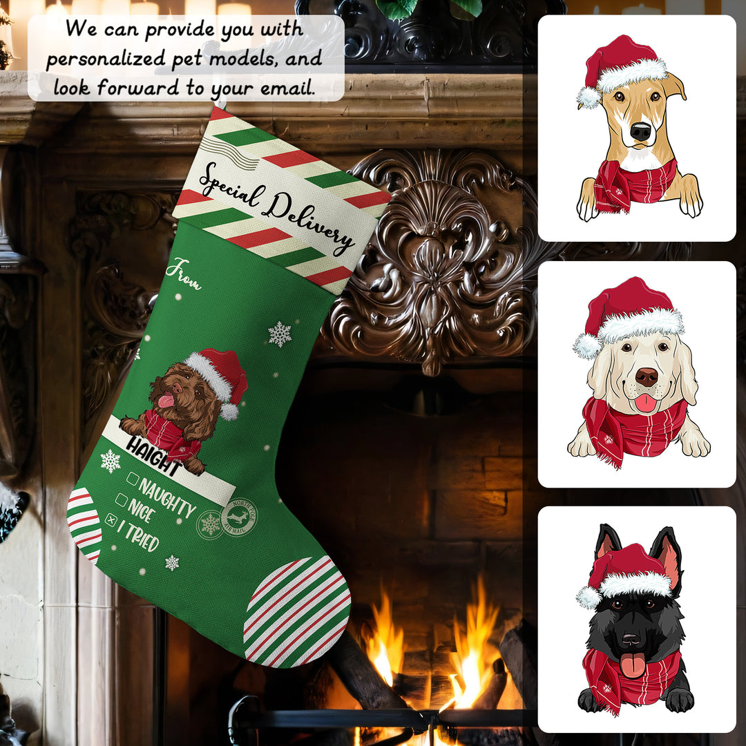 Special Delivery To Santa - Personalized Christmas Stocking Dogs