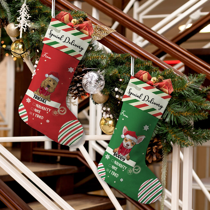 Special Delivery To Santa - Personalized Christmas Stocking Dogs