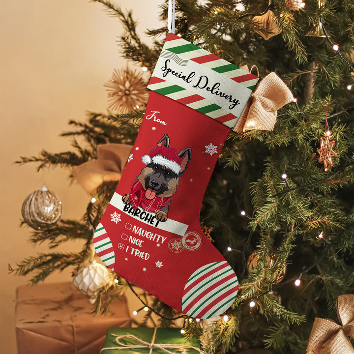 Special Delivery To Santa - Personalized Christmas Stocking Dogs